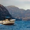 Bellini Astor 36