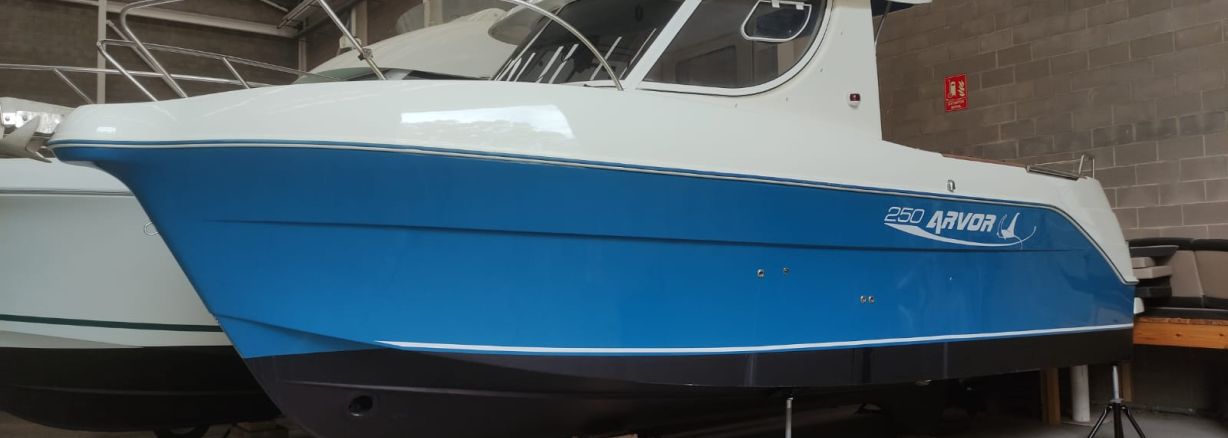 ARVOR 250