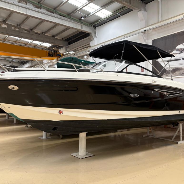 SEA RAY SUN SPORT 250